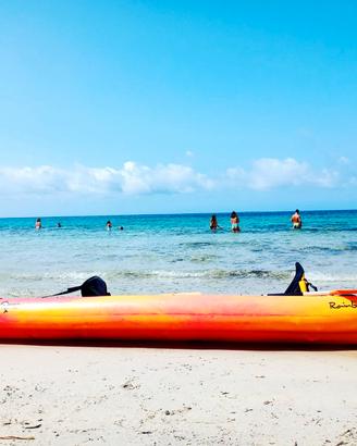 canoa 2+1 posti Orca Raimbow