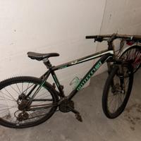 Bici Bottecchia mntbk