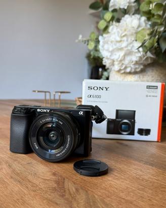 Sony a6100 + 16-50mm OSS – 779 scatti