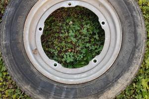 Pneumatico e cerchione per Ape Piaggio