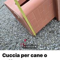 Cuccia per cane