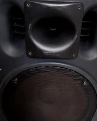 cassa attiva energy 15 pollici 