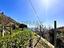 Immagine 27