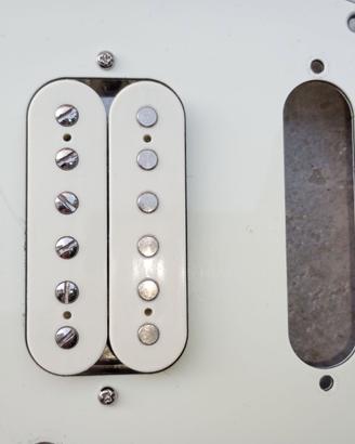 Pick up fender coastline