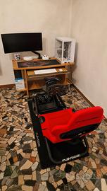 Simulatore di guida professionale
