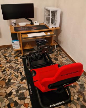 Simulatore di guida professionale