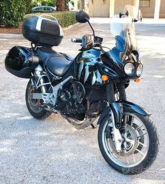 TRIUMPH TIGER 955i