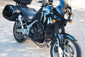 TRIUMPH TIGER 955i