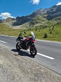 Triumph tiger 900 gt pro 