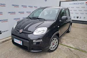 FIAT Panda 1.0 FireFly S&S Hybrid Pandina