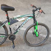 Mountain bike donna/ragazzo