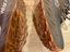 Immagine 6