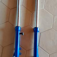 forcelle e ammortizzatore