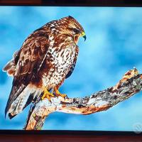 Android TV smart tv sony 55" Pollici 4k