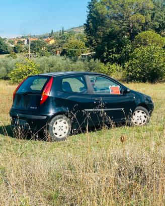 Auto Fiat Punto 16 V