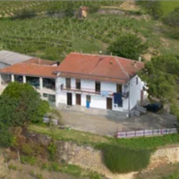 Privato vende azienda vitivinicola in Langa