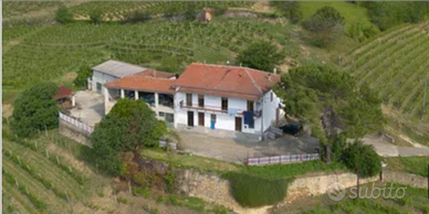 Privato vende azienda vitivinicola in Langa