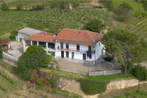 Privato vende azienda vitivinicola in Langa