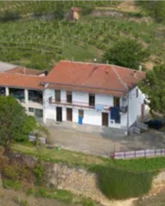 Privato vende azienda vitivinicola in Langa