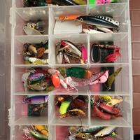 artificiali da  pesca a spinning e trout area