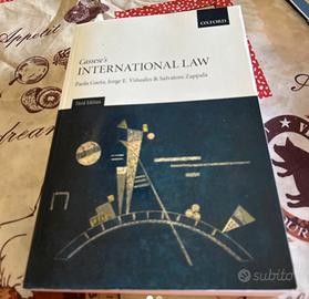 Casse’s international law