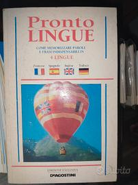 dizionario illustrato inglese e manuali di lingue 
