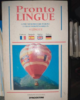 dizionario illustrato inglese e manuali di lingue 