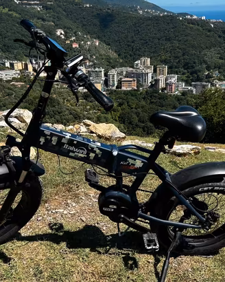Bicicletta elettrica