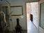 Immagine 26