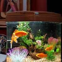 Acquario Evolution 1 bianco Acquatic Nature 