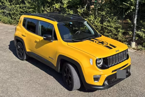 Renegade 1.6 Multijet 120cv 2019 accessoriata