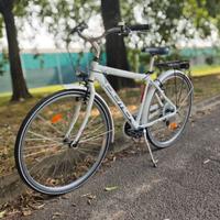 Bici Olmo 7 rapporti