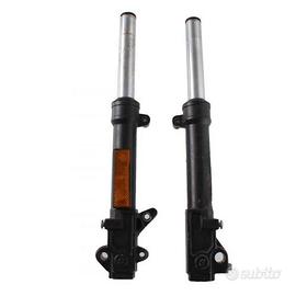 Coppia foderi con steli forcella Aprilia SR WWW e 