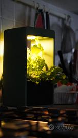 Vaso 🌿natural connection🌿