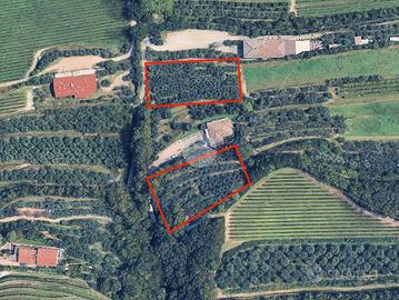 TER. AGRICOLO A SAN MARTINO BUON ALBERGO