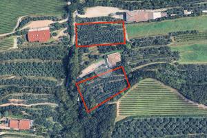 TER. AGRICOLO A SAN MARTINO BUON ALBERGO