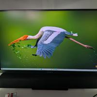 Monitor Hp Omen 27qs
