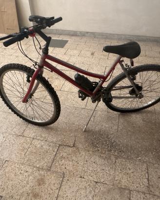 Bicicletta
