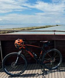 Mtb crow 29