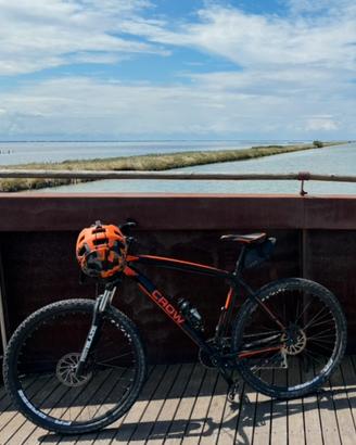 Mtb crow 29