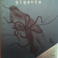 Il calamaro gigante
