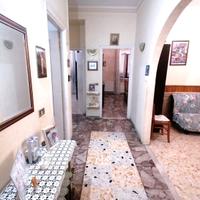 DUE LEONI | Quadrilocale con cantina | Metro C