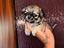Immagine 1