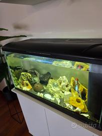 Acquario 95 litri