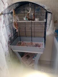 Cocorite più gabbia