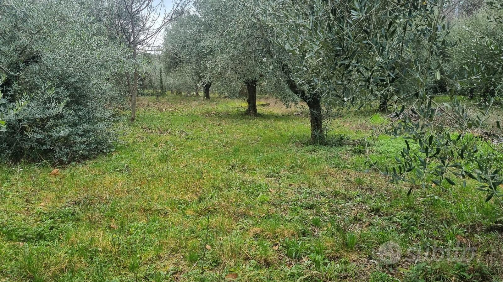 Terenno montecompatri - Vista 2
