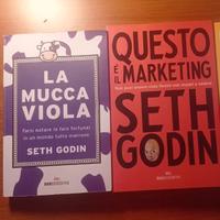libri marketing Seth Godin