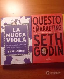 libri marketing Seth Godin