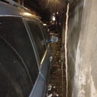 kia Carnival 2009 executive 