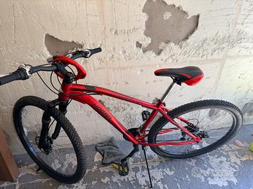 Mountain Bike Hogan